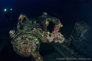 Camión | SAN FRANCISCO MARU - TRUK - MICRONESIA -  Neiwe Micronesia foto 5