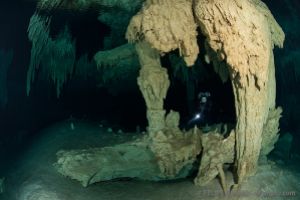 Cenote | CENOTE NOHOCH NAH CHICH - YUCATAN - MÉXICO - Quintana Roo Playa del Carmen Mexico foto 2