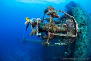 SALEM EXPRESS – SAFAGA - EGIPTO -  Safaga Egipto foto 2