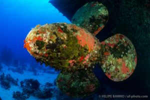 SALEM EXPRESS – SAFAGA - EGIPTO -  Safaga Egipto foto 3