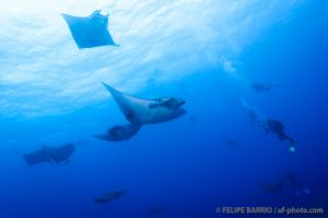 AMBROSIO – SANTA MARIA – AZORES -  Vila do Porto Portugal foto 7