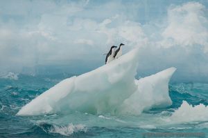 DECEPCION – ANTARTIDA -  Deception Antártida foto 5